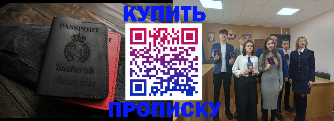 временная прописка в Михайловке
